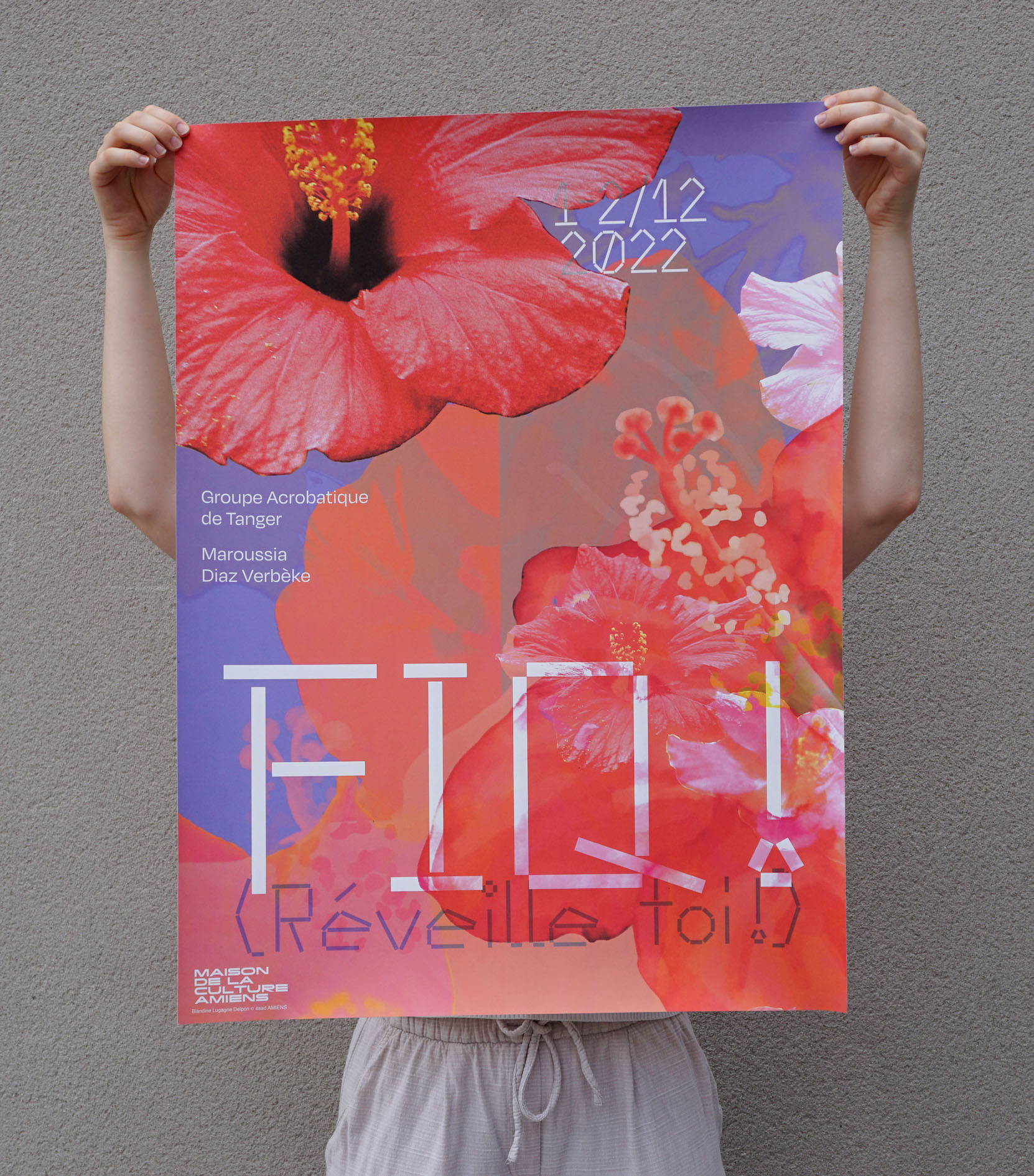 affiche-fiq